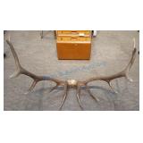 Elk antlers Elk antlers