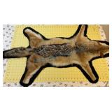 Fox? Pelt from Botswana Africa Fox? Pelt from Botswana Africa