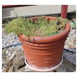 Red and brown planter large Red and brown planter large