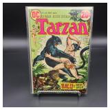 DC Tarzan #213 Comic