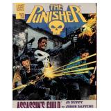 Marvel The Punisher Graphic Novel