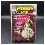 DC Dark Mansion of Forbidden Love Comic #2