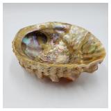 Abalone Soap Dish