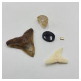 Onyx & Shark Teeth