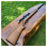 Marlin Glenfield Mod. 60 .22 Long Rifle