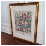 Vintage Framed Fuit Engraving