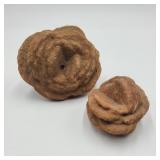 Pair of Rose Rocks