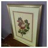 Signed & Numbered John A. Ruthven Cardinals