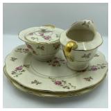 Theadore Haviland Delaware