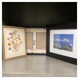 Framed Pictures