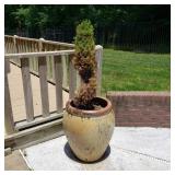 Large Pottery Planter Large Pottery Planter