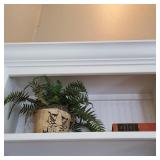 Shelf w/ Faux Fern & Pictorial Bible Dictionary Shelf w/ Faux Fern & Pictorial Bible Dictionary