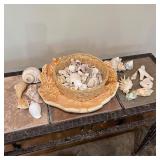 Decorative Sea Shell Style Tray w/ Sea Shells