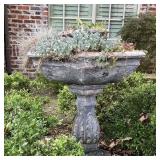 Concrete Birdbath w/ Plants