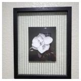 Magnolia Floating Frame Art