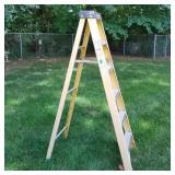 Electro Master Fiberglass Ladder