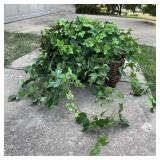 Faux Ivy in Basket w/ Broken Handle