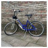 Ladies Raleigh Bicycle 6061 Series