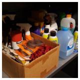 Shelf of Cleaning Supplies