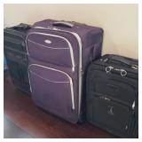 Set of 3 Travel Bags