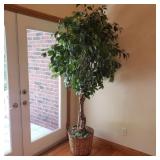 Large Faux Tree/Plant Large Faux Tree/Plant