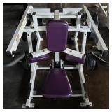 Hammer Strength Seated Dip Machine