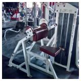 Body Masters 410 Arm Curl Machine