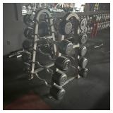 Troy Barbell & Fitness Curl Rack