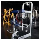 Cybex Torso Rotation Machine