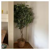 Faux Ficus Tree