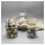 Lot of Seashells & Rocks in Glass Containers