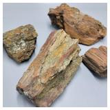 Petrified Wood Specimens