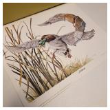 Signed Limited Edition Gary Lucy Mallard Print