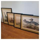 Lot of Vintage Audubon Prints Lot of Vintage Audubon Prints