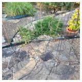 Galvanized Steel Wire Round Vegetable Cages Galvanized Steel Wire Round Vegetable Cages