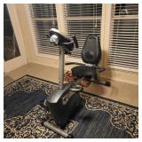 Schwin 213 Recumbent Bike