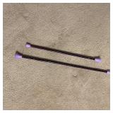 2 Purple Batons 2 Purple Batons