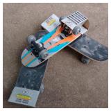 Mini Skateboard Lot Mini Skateboard Lot
