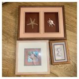 Framed Seashell Art Framed Seashell Art