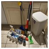 Household Cleaning Supplies Lot