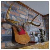 Deer Antler Lot on Mantle Deer Antler Lot on Mantle