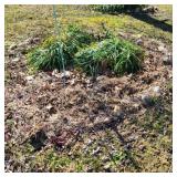 Ring of Quartzite Landscaping Stones