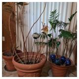 Lot of Live Plants to Rescue w/ Planters Lot of Live Plants to Rescue w/ Planters
