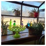 Contents - Aloe Vera Plants & Cake Stand