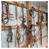 Entire Wall of Tack, Bits, Halters, & Leads Entire Wall of Tack, Bits, Halters, & Leads