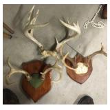 3 Sets Deer Antlers