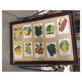 Large Framed Fruit Print, Ca. 1920