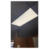 BRANDY NEW 24x36" LED PANELS