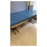 ELECTRIC ELEVATING BED