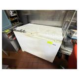 White Commercial Chest Freezer